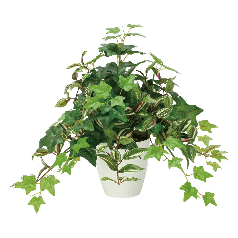 楽天市場】光触媒観葉植物 フレッシュポトス 〔テーブルタイプ