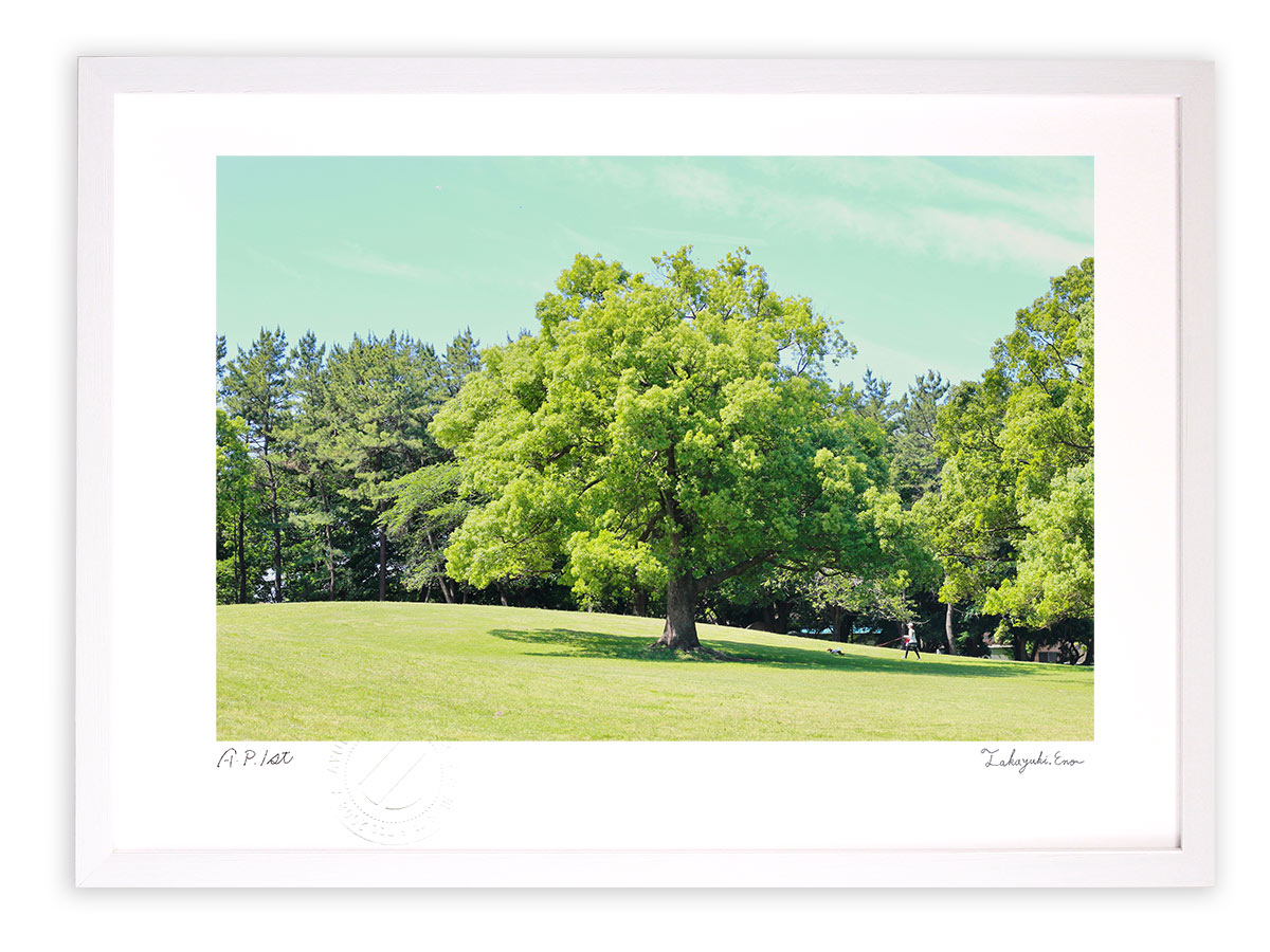 版画 絵画 新緑公園散歩/アートフォト インテリア 額入り 額装込 風景画 油絵 ポスター アート アートパネル リビング 玄関 プレゼント モダン アートフレーム 飾る おしゃれ 壁掛け 絵