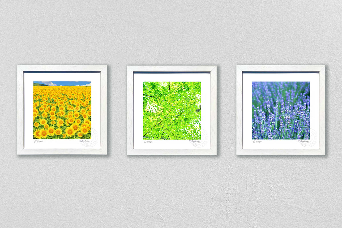 最大100%ポイントバック！限定抽選 版画 絵画 インテリア 夏の色 3枚セット 額入り 額装込 風景画 油絵 ポスター アートパネル リビング 玄関 プレゼント モダン アートフレーム 飾る Sサイズ おしゃれ 壁掛け 絵