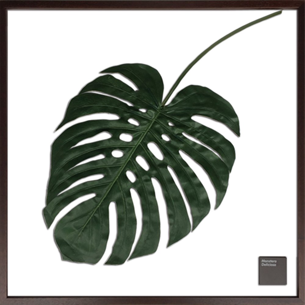 売り切れ必至 リーフパネル モンステラ デリシオサ3 インテリア 壁掛け 額入り 額装込 風景画 油絵 ポスター アート アートパネル リビング 玄関 プレゼント モダン アートフレーム おしゃれ 飾る 4lサイズ 巣ごもり Www Etechnologycr Com