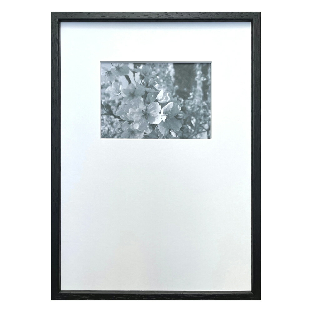 最大100%ポイントバック！限定抽選 絵画 Photography art Sakura インテリア 壁飾り 写真 桜 サクラ 写真 額付き モノクロ アート シンプル ギフト おしゃれ リビング 玄関 プレゼント 壁掛け 飾る 店舗 アートパネル 会社 ショップ オフィス エントランス Mサイズ
