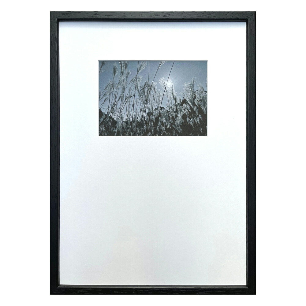 最大100%ポイントバック！限定抽選 絵画 Photography art Susuki インテリア 壁飾り 写真 ススキ 写真 額付き モノクロ アート シンプル ギフト おしゃれ リビング 玄関 プレゼント 壁掛け 飾る 店舗 アートパネル 会社 ショップ オフィス エントランス Mサイズ