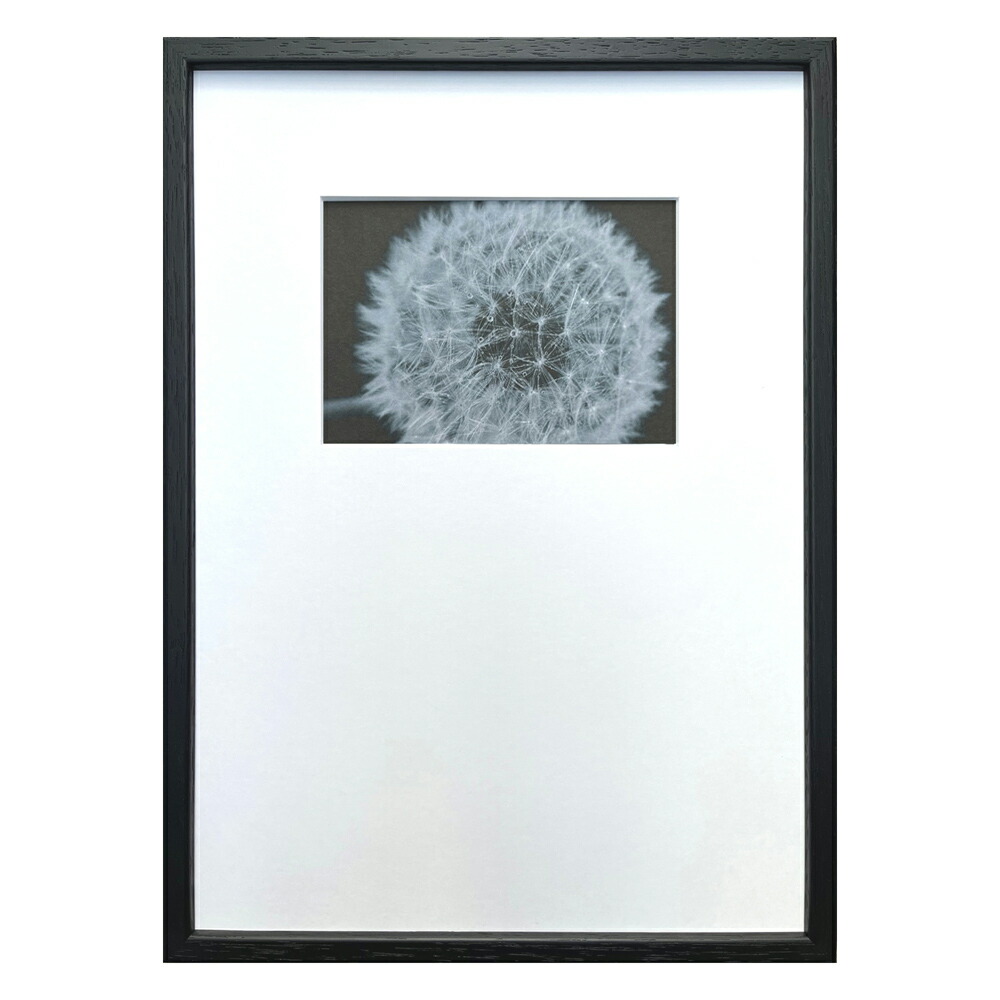 最大100%ポイントバック！限定抽選 絵画 Photography art Dandeliaans(タンポポ) インテリア 壁飾り 写真 写真 額付き モノクロ アート シンプル ギフト おしゃれ リビング 玄関 プレゼント 壁掛け 飾る アートパネル 店舗 会社 ショップ オフィス エントランス Mサイズ