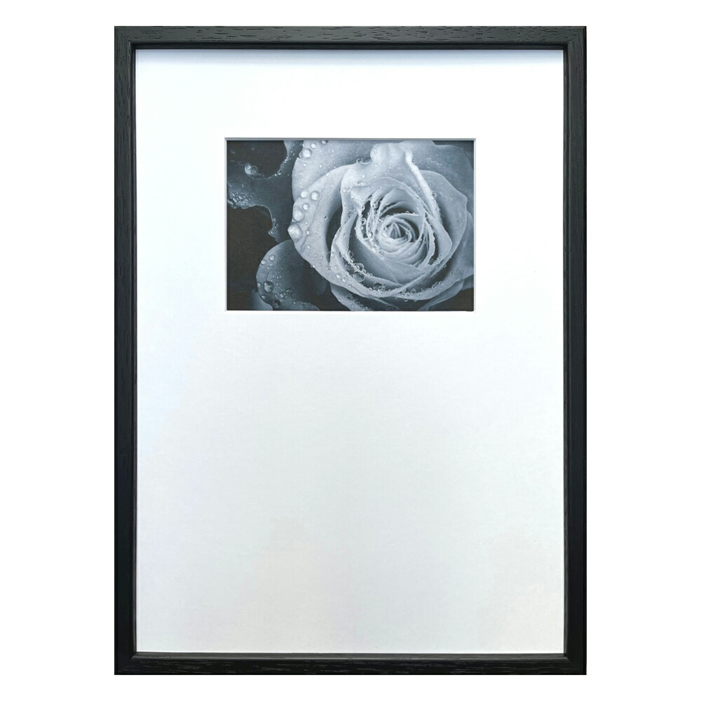 最大100%ポイントバック！限定抽選 絵画 Photography art Rose(バラ) インテリア 壁飾り 写真 ローズ 花 写真 額付き モノクロ アート シンプル ギフト おしゃれ リビング 玄関 プレゼント 壁掛け 飾る 店舗 アートパネル 会社 ショップ オフィス エントランス Mサイズ
