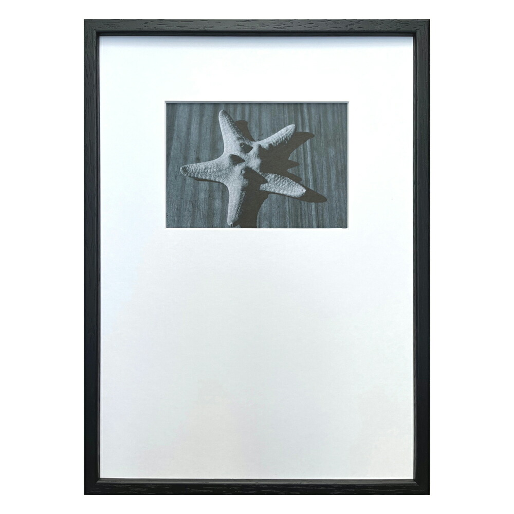 最大100%ポイントバック！限定抽選 絵画 Photography art Star fish インテリア 壁飾り 写真 ヒトデ 写真 額付き モノクロ アート シンプル ギフト おしゃれ リビング 玄関 プレゼント 壁掛け 飾る 店舗 アートパネル 会社 ショップ オフィス エントランス Mサイズ