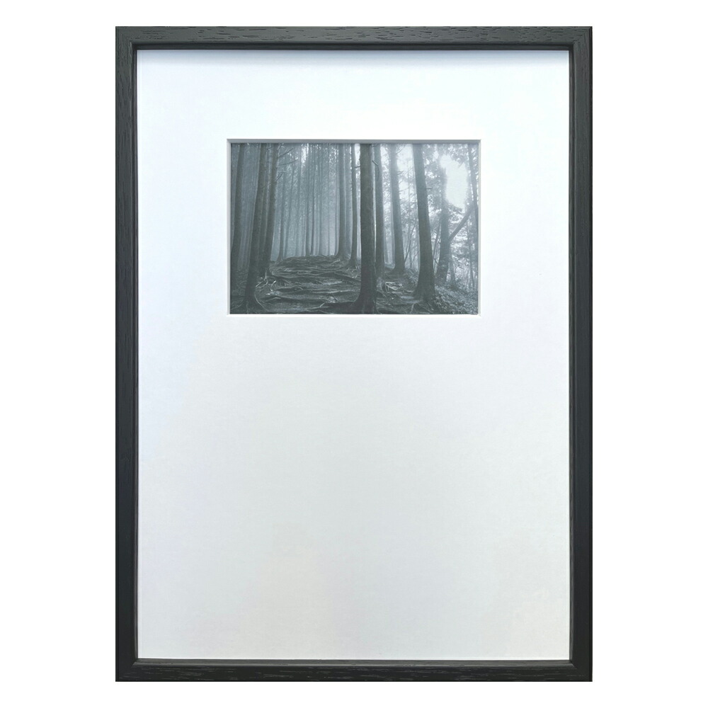 最大100%ポイントバック！限定抽選 絵画 Photography art Forest(森) インテリア 壁飾り 写真 木 フォレスト 写真 額付き モノクロ アート シンプル ギフト おしゃれ リビング 玄関 プレゼント 壁掛け 飾る アートパネル 店舗 会社 ショップ オフィス エントランス Mサイズ