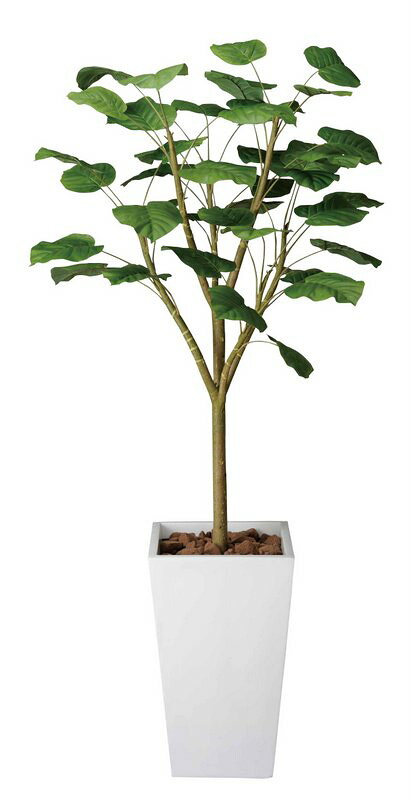 光触媒観葉植物 ウンベラータW1.8〔フロアタイプ(ハイサイズ)〕/光触媒 観葉植物 ウンベラータ フェイクグリーン 花 胡蝶蘭 開店祝い 開業祝い 誕生祝い 造花 アートフレーム おしゃれ 飾る 5Lサイズ|絵画・壁飾り 風景専門店あゆわら