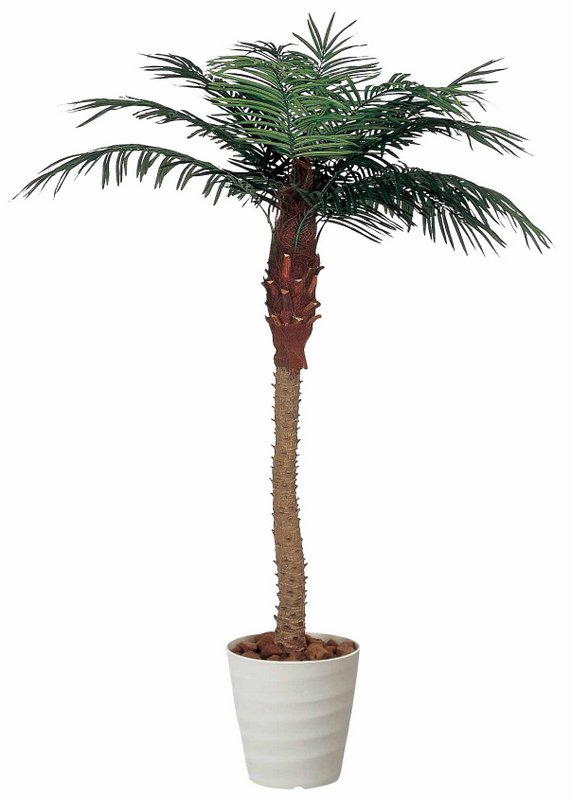 光触媒観葉植物 フェニックス2 1 フロアタイプ ハイサイズ 光触媒 観葉植物 ウンベラータ フェイクグリーン 花 胡蝶蘭 開店祝い 開業祝い 誕生祝い 造花 アートフレーム おしゃれ 飾る 5lサイズ 巣ごもり 豪奢な