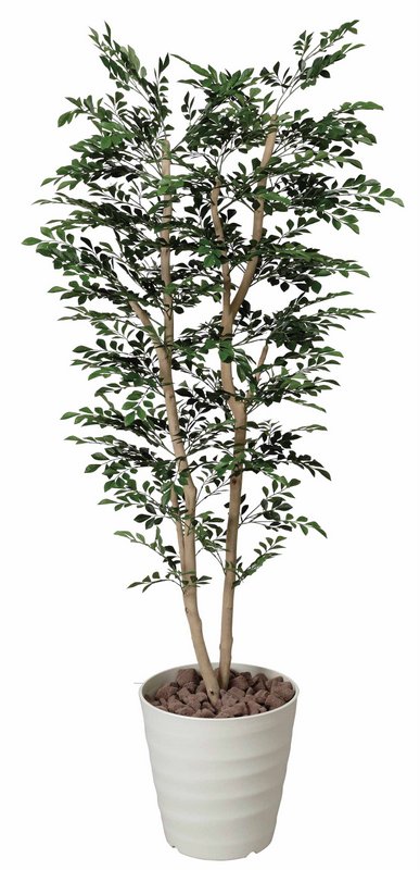 光触媒観葉植物 トネリコ1.8〔フロアタイプ(ハイサイズ)〕/光触媒 観葉植物 ウンベラータ フェイクグリーン 花 胡蝶蘭 開店祝い 開業祝い 誕生祝い 造花 アートフレーム おしゃれ 飾る 5Lサイズ|絵画・壁飾り 風景専門店あゆわら