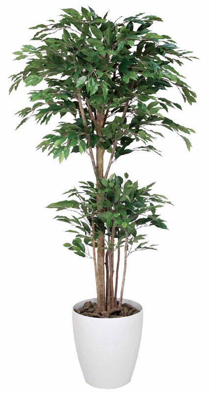 光触媒観葉植物 トロピカルベンジャミン1.6〔フロアタイプ(ハイサイズ)〕/光触媒 観葉植物 ウンベラータ フェイクグリーン 花 胡蝶蘭 開店祝い 開業祝い 誕生祝い 造花 アートフレーム おしゃれ 飾る 5Lサイズ｜絵画・壁飾り　風景専門店あゆわら