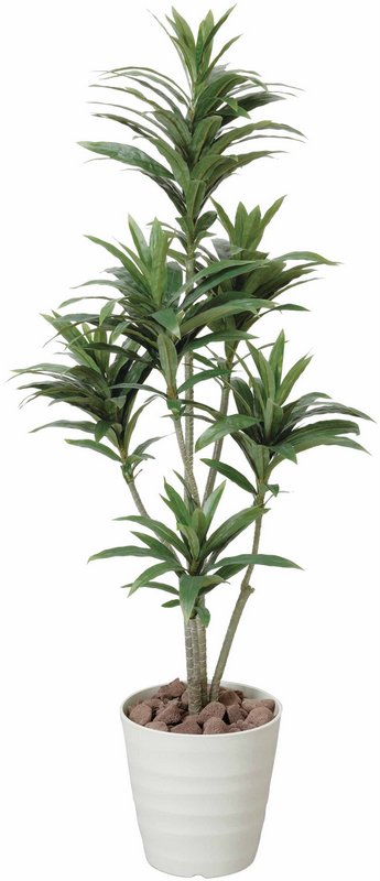 光触媒観葉植物 ドラセナ1.25〔フロアタイプ(ミドルサイズ)〕/光触媒 観葉植物 ウンベラータ フェイクグリーン 花 胡蝶蘭 開店祝い 開業祝い 誕生祝い 造花 アートフレーム おしゃれ 飾る 5Lサイズ｜絵画・壁飾り　風景専門店あゆわら