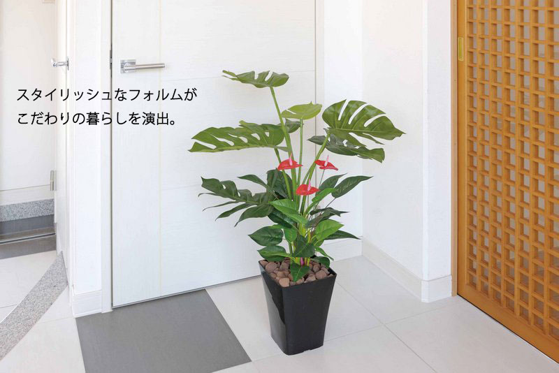 最安 楽天市場 光触媒観葉植物 パキラトピアリー1 5 フロアタイプ ミドルサイズ 光触媒 観葉植物 ウンベラータ フェイクグリーン 花 胡蝶蘭 開店祝い 開業祝い 誕生祝い 造花 アートフレーム おしゃれ 飾る 5lサイズ 巣ごもり 絵画 壁飾り 風景専門店あゆわら