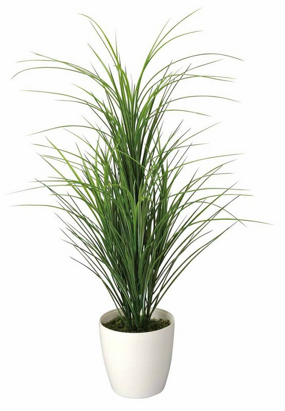 美しい 光触媒観葉植物 グラスツリー フロアタイプ ミドルサイズ 光触媒 観葉植物 ウンベラータ フェイクグリーン 花 胡蝶蘭 開店祝い 開業祝い 誕生祝い 造花 アートフレーム おしゃれ 飾る 4lサイズ 巣ごもり 超大特価 Lexusoman Com