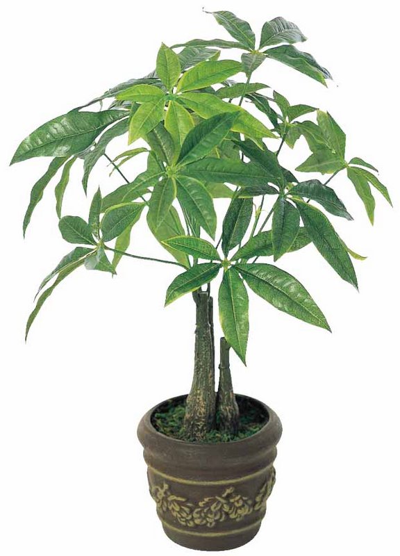 光触媒　人工観葉植物　ウォールグリーン　フェイクグリーン　パキラ150150 光触媒 人工観葉植物 ウォールグリーン フェイクグリーン パキラ90m