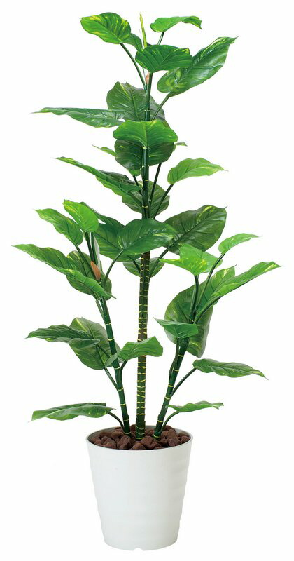 独創的 楽天市場 光触媒観葉植物 フレッシュポトス1 5 フロアタイプ ハイサイズ 光触媒 観葉植物 ウンベラータ フェイクグリーン 花 胡蝶蘭 開店祝い 開業祝い 誕生祝い 造花 アートフレーム おしゃれ 飾る 5lサイズ 巣ごもり 絵画 壁飾り 風景専門店あゆわら