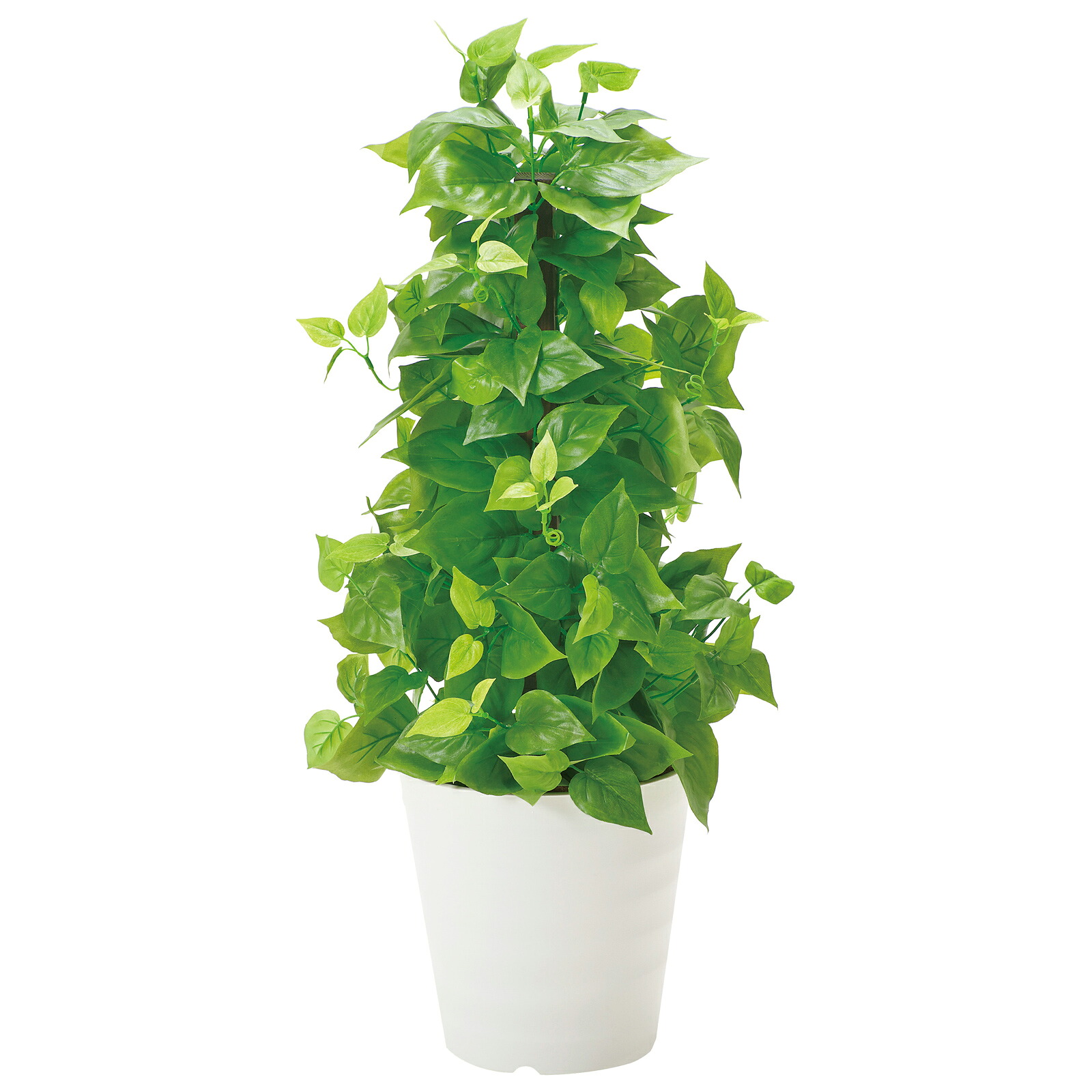 光触媒観葉植物 ポールライムポトス〔テーブルタイプ〕/光触媒 観葉植物 ウンベラータ フェイクグリーン 花 胡蝶蘭 開店祝い 開業祝い 誕生祝い 造花 アートフレーム おしゃれ 飾る 4Lサイズ｜絵画・壁飾り　風景専門店あゆわら