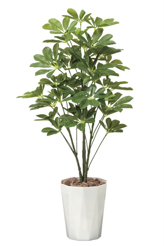 観葉植物 光触媒観葉植物 フェイクグリーン 巣ごもり花 ガーデン Diy ウンベラータ 観葉植物 花 新築祝い 開店祝い 誕生日などのギフトに光触媒観葉植物はいかが 玄関やリビングのインテリアにお手入れいらず 光触媒加工の造花 アートフラワー 誕生祝い 造花 造花 観葉植物 光触媒観葉植物 フェイクグリーン 巣ごもり花 ガーデン Diy ウンベラータ 観葉植物 花 新築祝い 開店祝い 誕生日などのギフトに光触媒観葉植物はいかが 玄関やリビングのインテリアにお手入れいらず 光触媒加工の造花 アートフラワー 誕生祝い 造花 造花