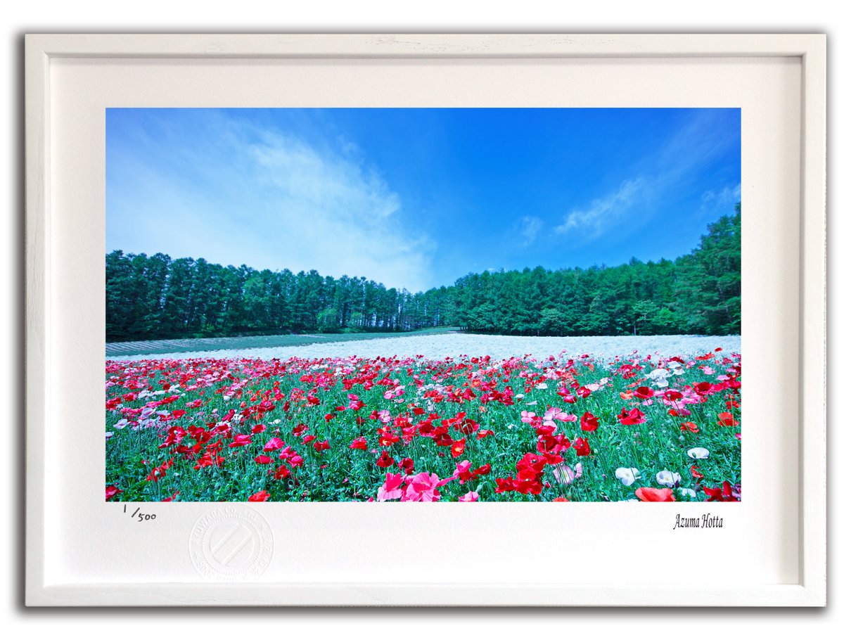 最大100%ポイントバック！限定抽選 版画 絵画 花002 美瑛/インテリア 額入り 額装込 風景画 油絵 ポスター アート アートパネル リビング 玄関 プレゼント モダン アートフレーム 飾る おしゃれ 壁掛け 絵