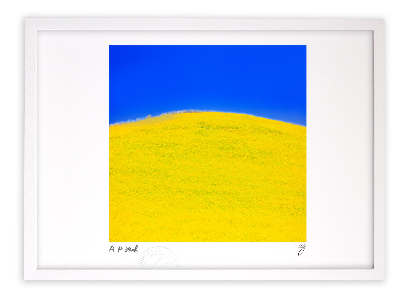 7699円 海外正規品 版画 絵画 菜の花山と青い空 インテリア 壁掛け 額入り 額装込 風景画 油絵 ポスター アート アートパネル リビング 玄関 プレゼント モダン アートフレーム おしゃれ 飾る Mサイズ 巣ごもり