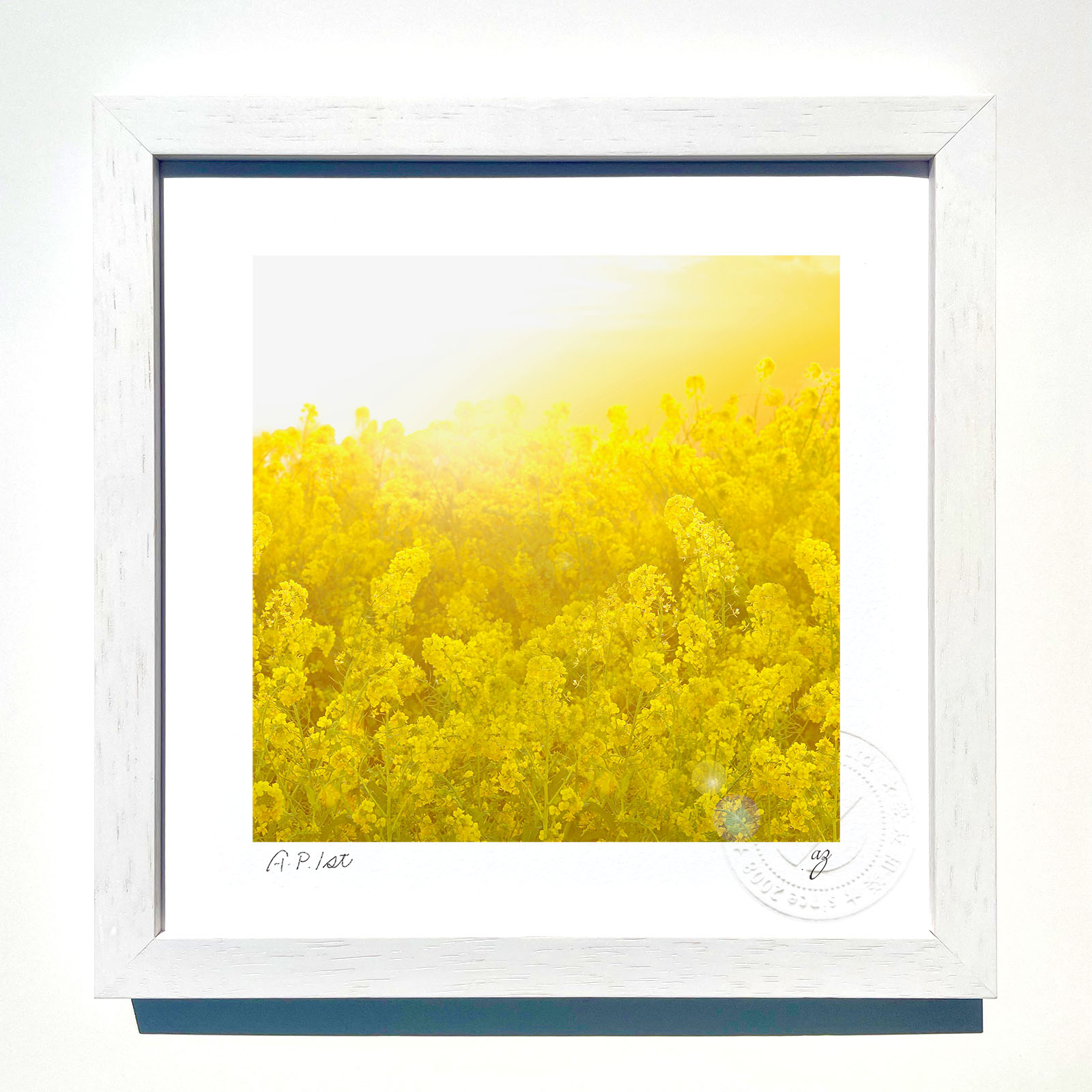 楽天市場】吉岡浩太郎 開運花風水 「 黄色い花 」 シルクスクリーン