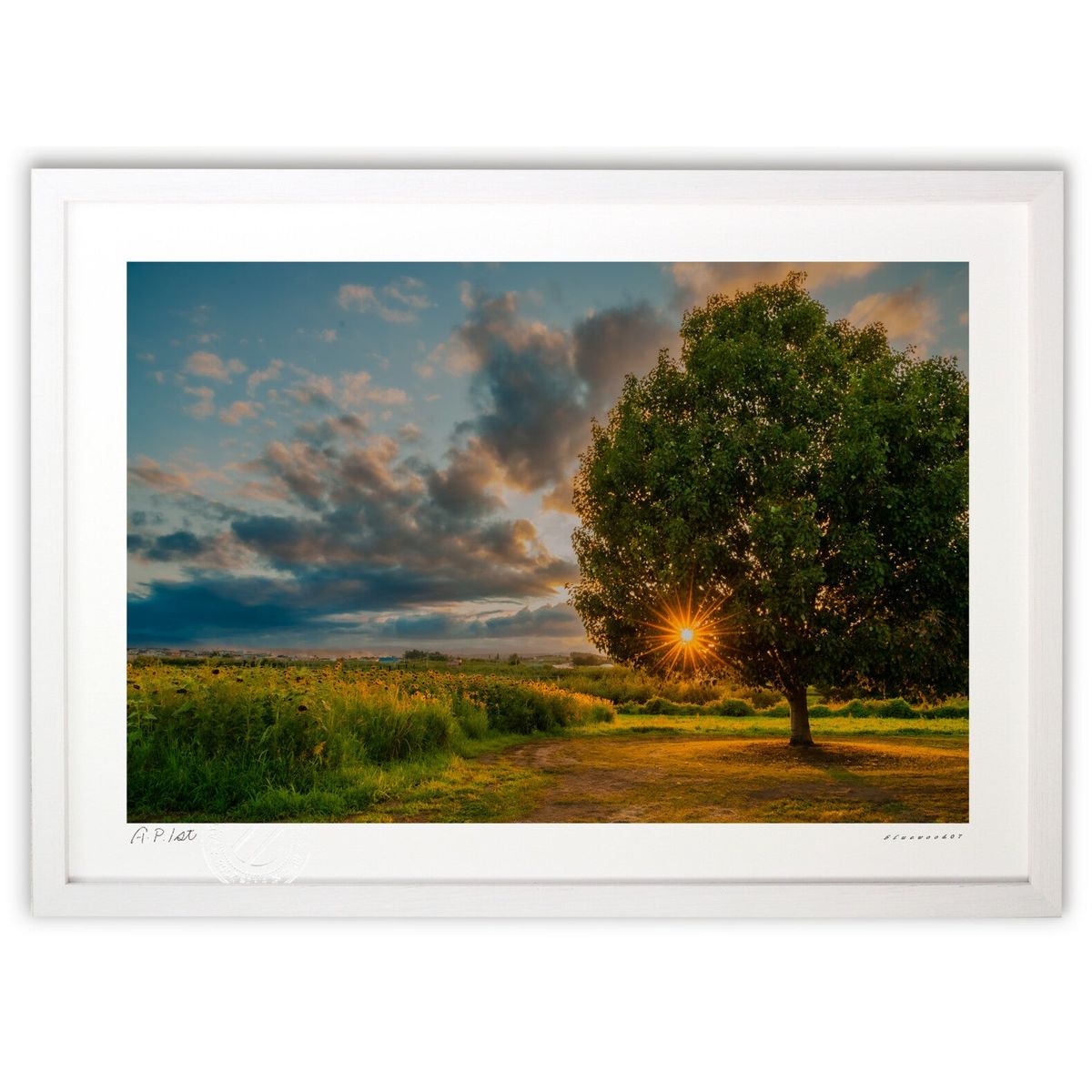 楽天市場】絵画 林 春雪 評価12万 ひまわり 日本画肉筆 : 古都-京都