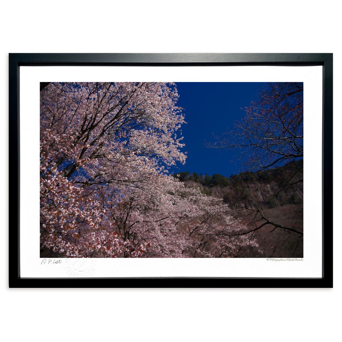 版画 岩壁に寄り添う桜たち (ramble)インテリア 壁掛け 額入り 風景画 ポスター アート リビング 玄関に飾る 風水 プレゼント モダン アートフレーム｜絵画・壁飾り　風景専門店あゆわら