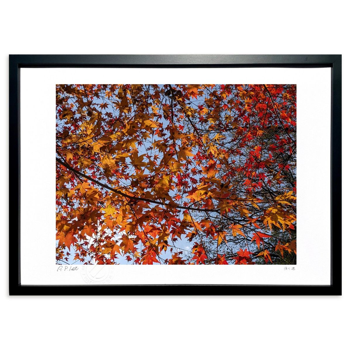 日本画　紅葉　模写 日本画 紅葉 模写 japanese-style-background-