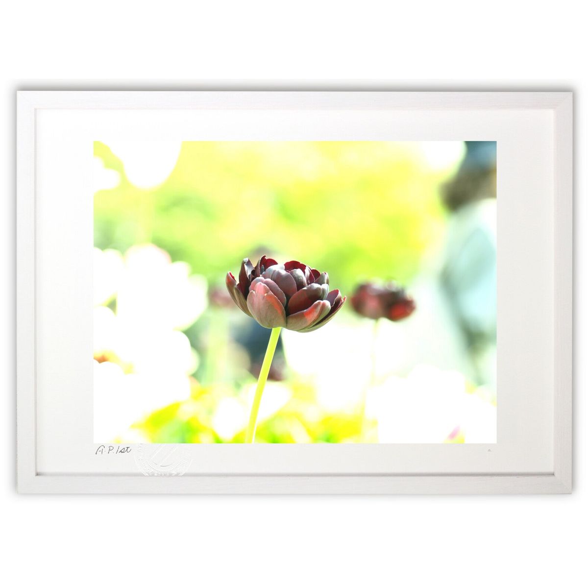 版画 癒し、ひかりの中の紫のひとひら (凛 -Rin-)画像