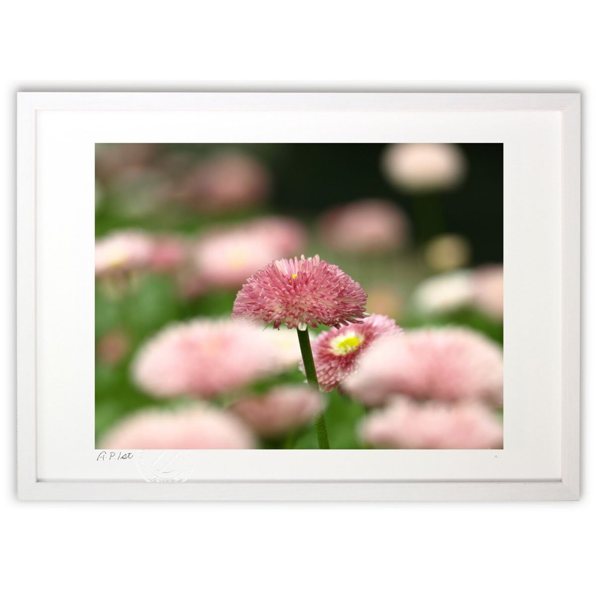 版画 しあわせ色のひとひら (凛 -Rin-)インテリア 壁掛け 額入り 風景画 ポスター アート リビング 玄関に飾る 風水 プレゼント モダン アートフレーム画像