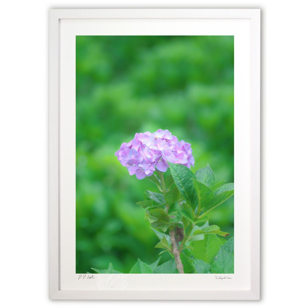 版画 やさしさのひとひら (ramble)インテリア 壁掛け 額入り 風景画 ポスター アート リビング 玄関に飾る 風水 プレゼント モダン アートフレーム画像