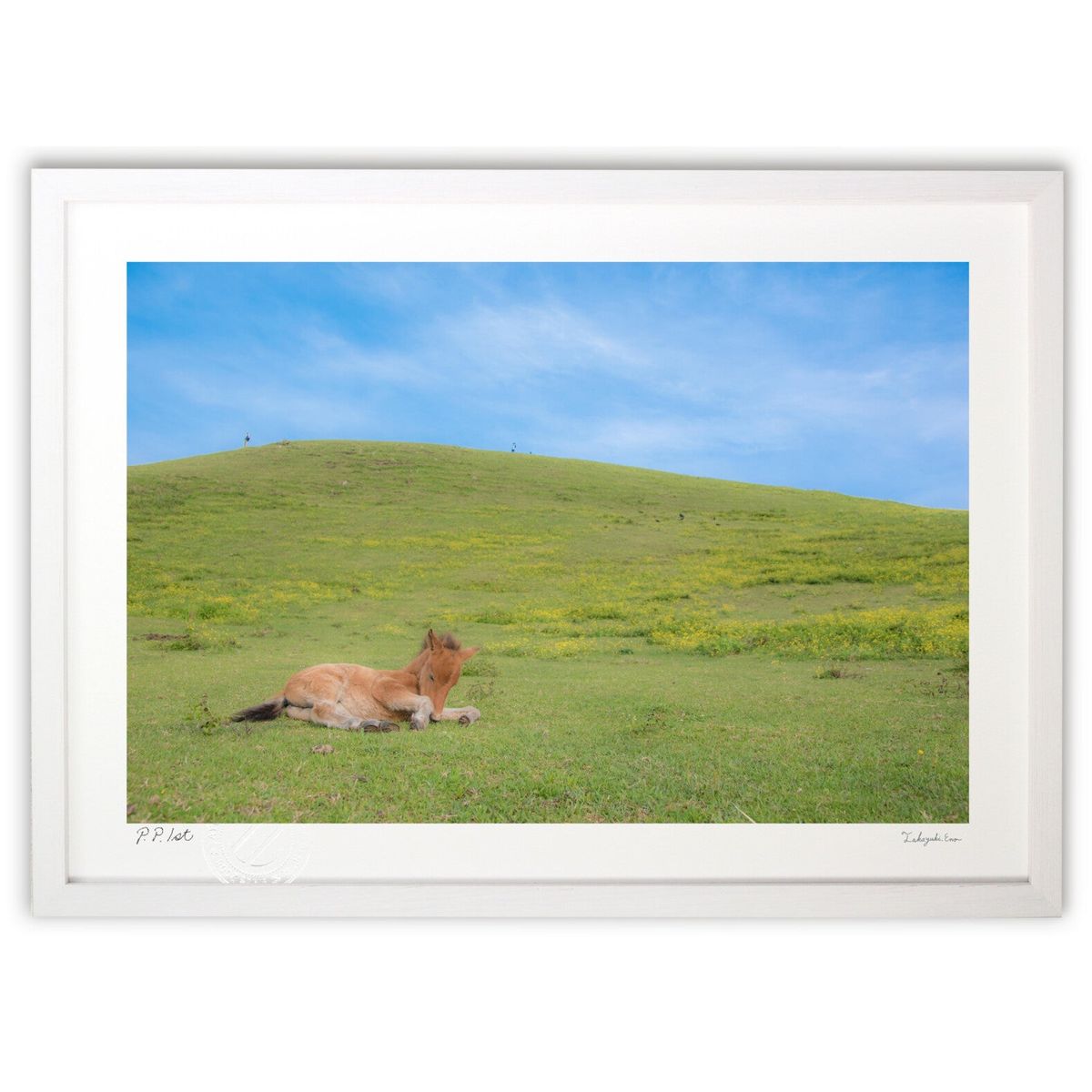 楽天市場】田中幸一 森の中の白馬 絵画 油絵 馬 インテリア 一点物