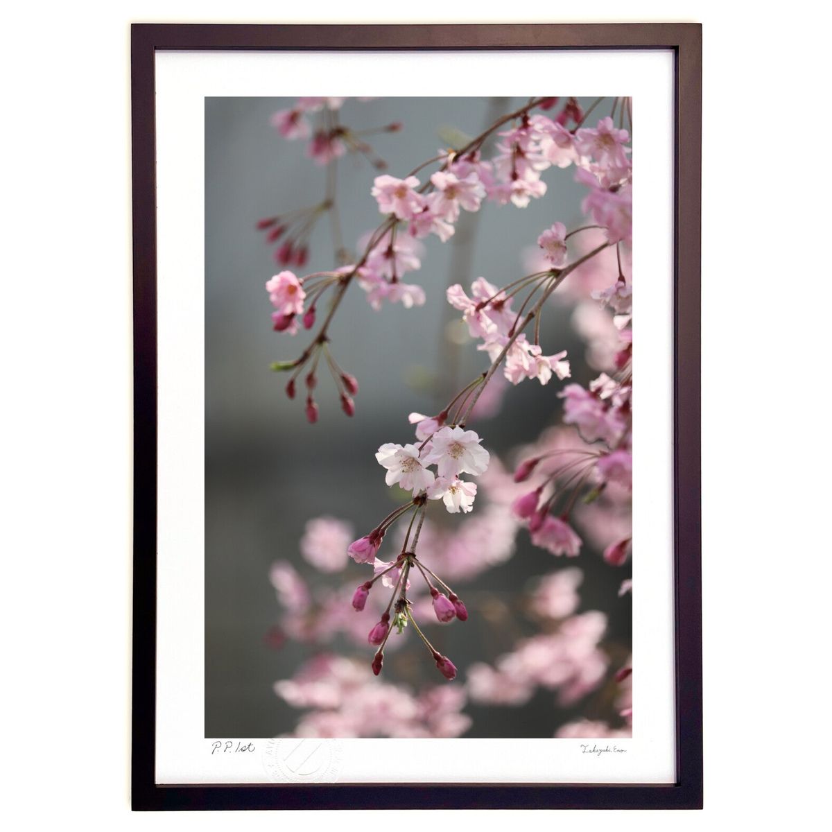 版画 春、ひとひら (Sera flora)インテリア 壁掛け 額入り 風景画 ポスター アート リビング 玄関に飾る 風水 プレゼント モダン アートフレーム画像