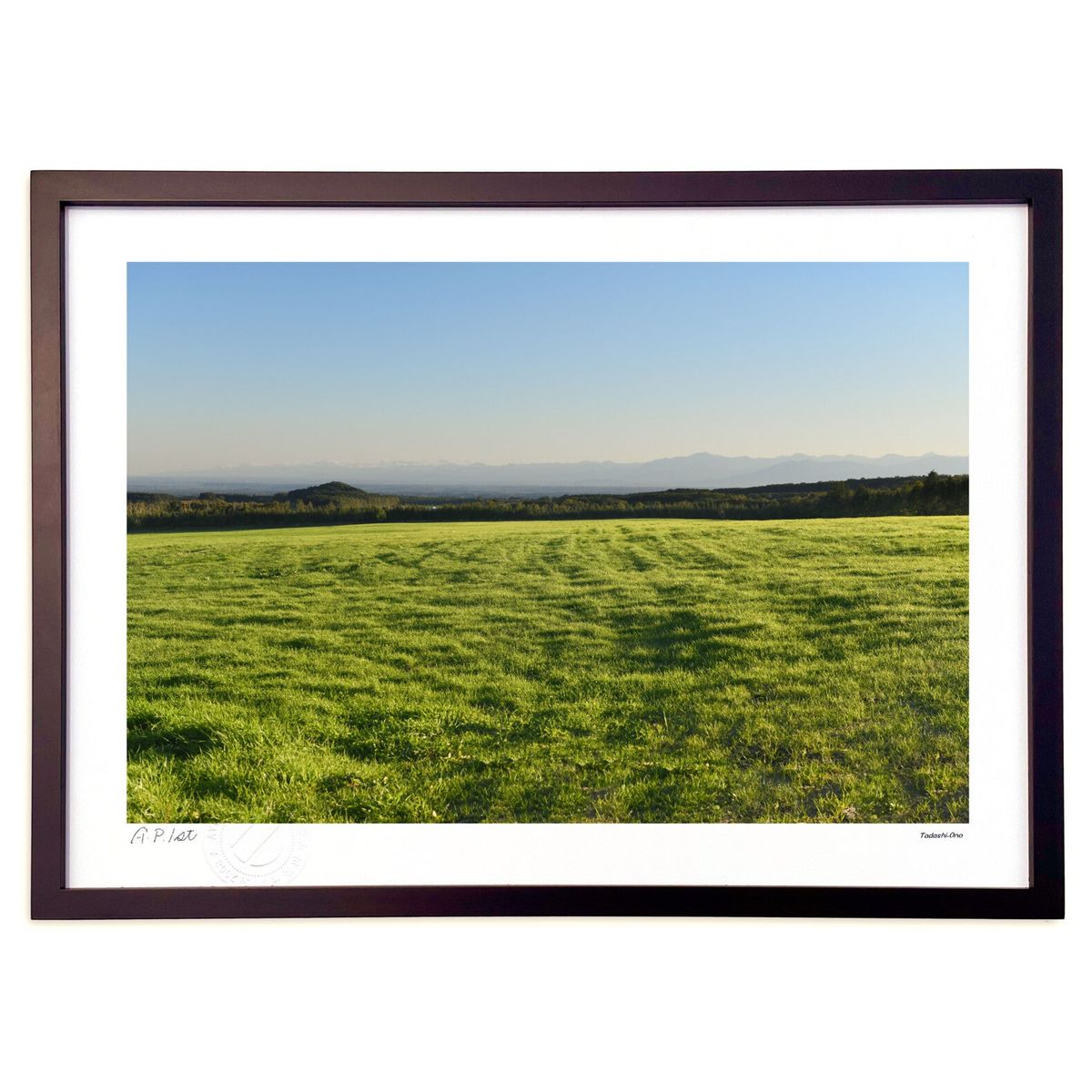 楽天市場】奥津 国道 絵画・アート(版画額装品)/花咲くレストラン/海外