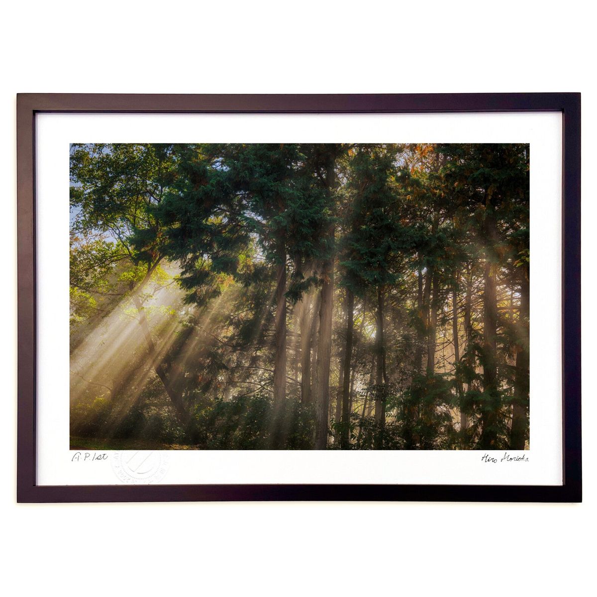 楽天市場】広森晴雨 「 朝顔 」 日本画 WSM : 内田画廊