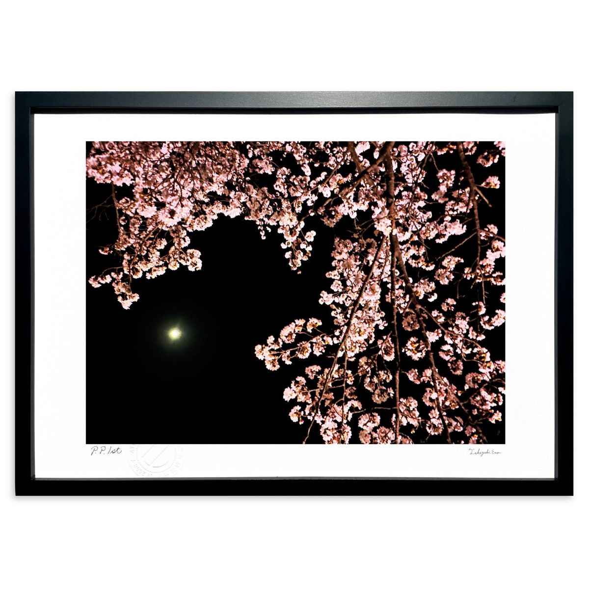 楽天市場】絵画【 淡墨桜（幻奏譜） 】/ P6サイズ /広森雄 偕拓堂