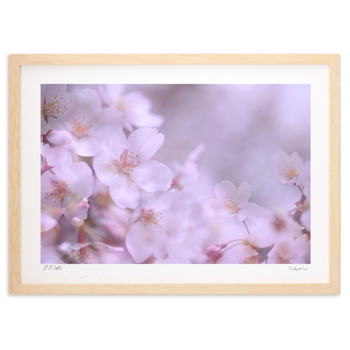 楽天市場】【ポイント10倍 & クーポン！】取寄品 狩野永徳 桜と孔雀 額