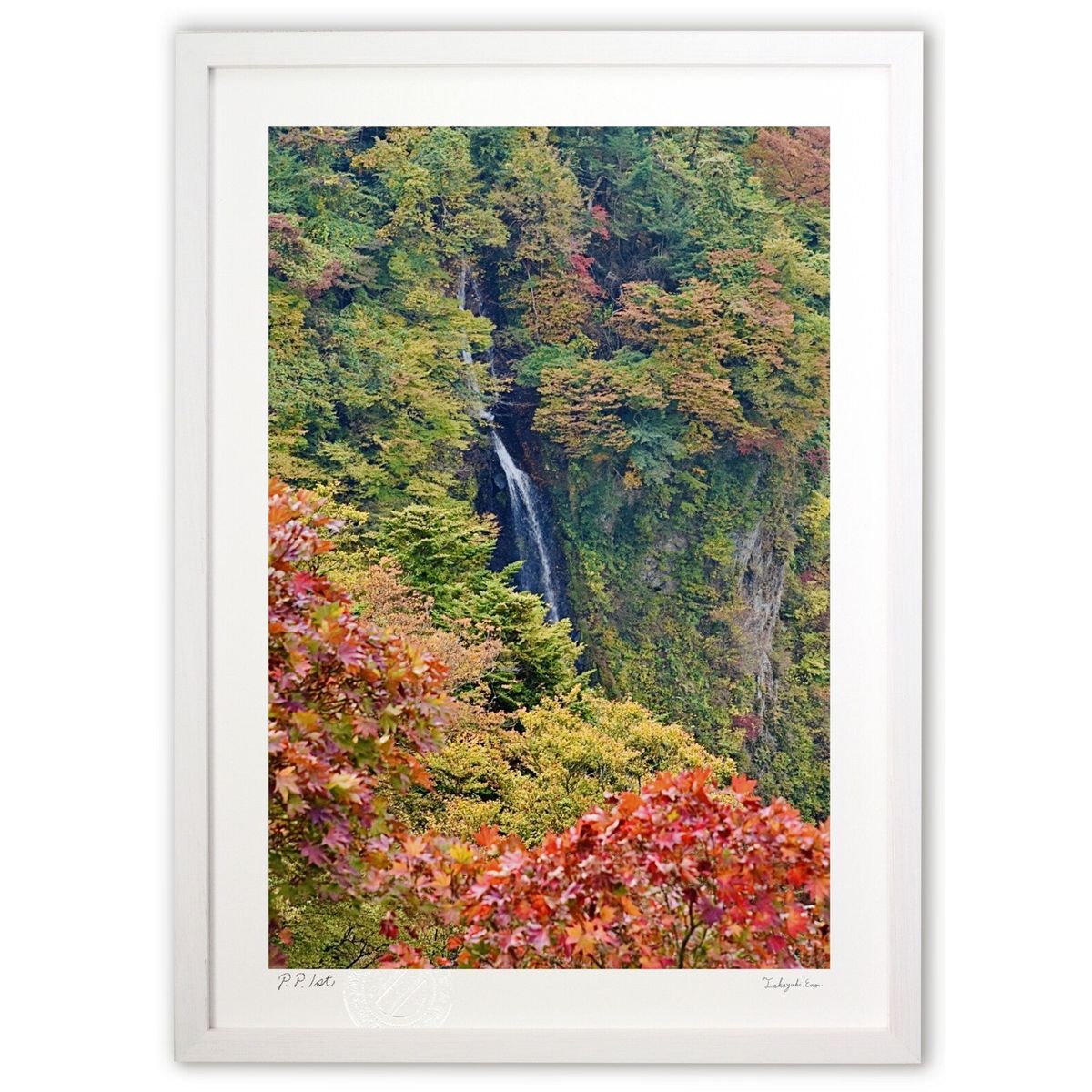 楽天市場】絵画 インテリア 壁掛け 額絵【実りの樹】縦700×横350 ねこ