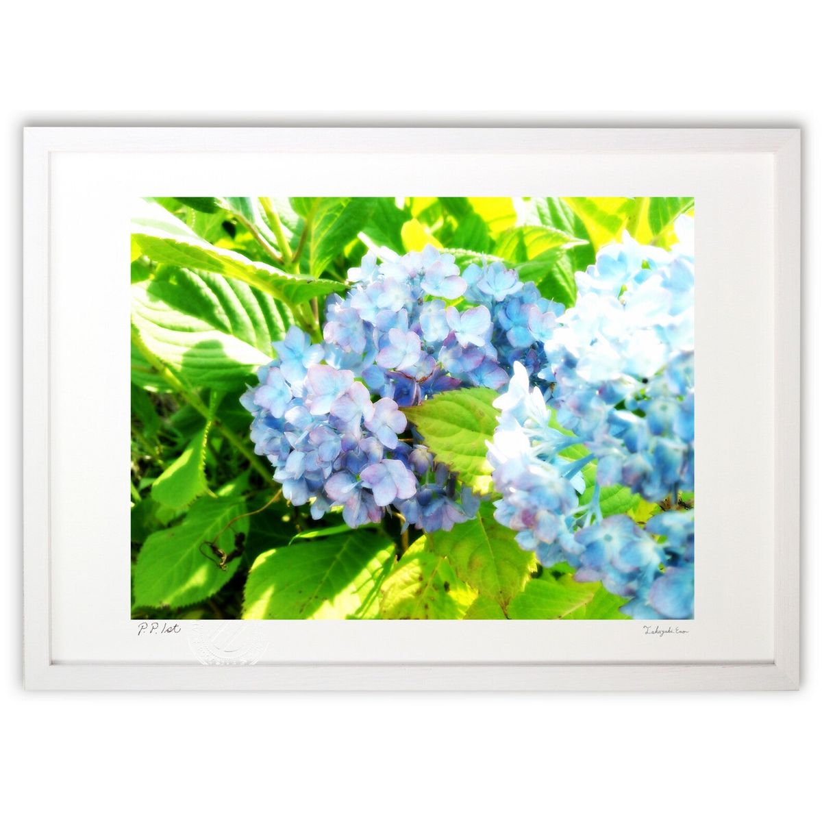 楽天市場】手描き 油絵 額入り油彩画 紫陽花 アジサイ F6サイズ