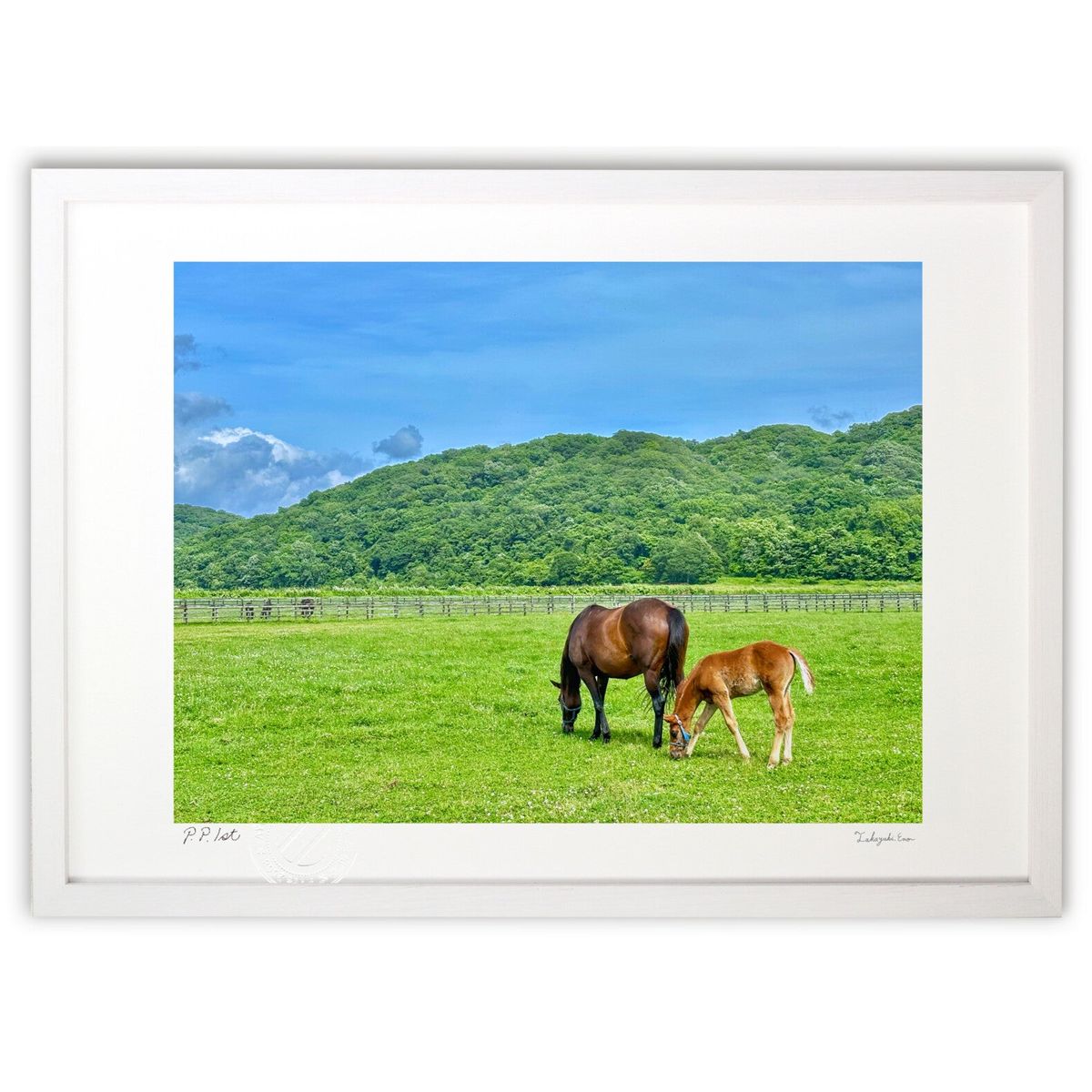 楽天市場】馬 絵画 白馬 花 絵 インテリア シルクスクリーン 版画