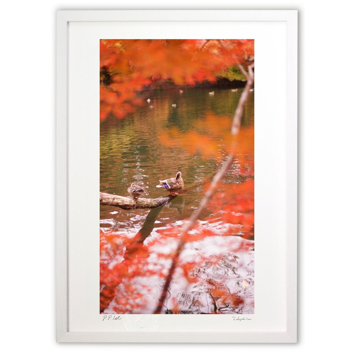 楽天市場】絵画 鈴木香／筆 「紅葉」 SM号 日本画 複製 額入り もみじ