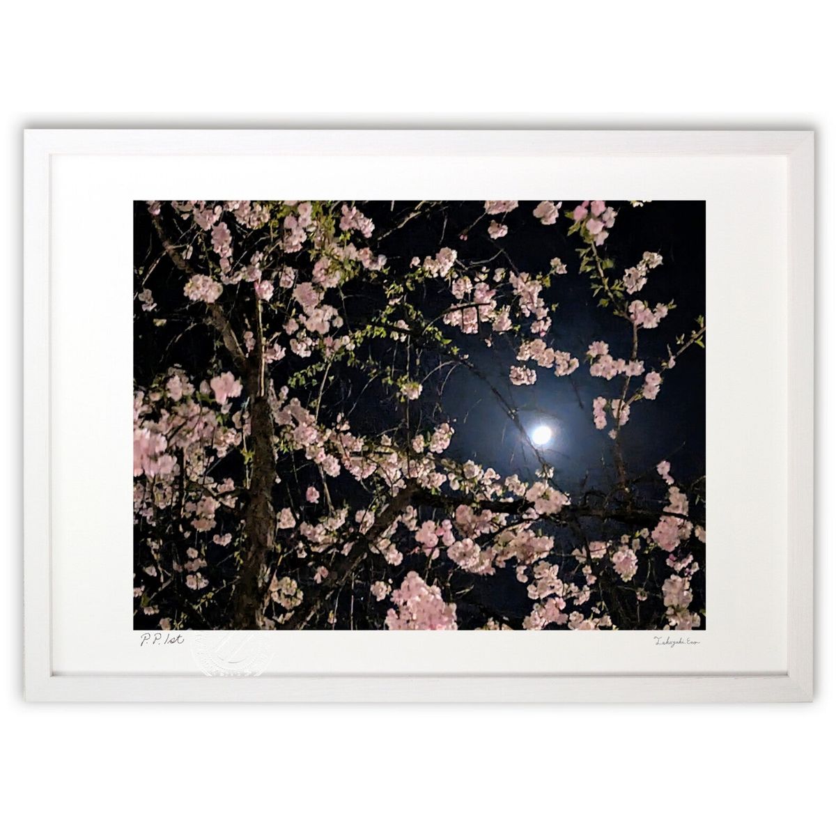 楽天市場】森山観月 三日月夜桜 52×42cm 花鳥図 日本画 春飾り 桜