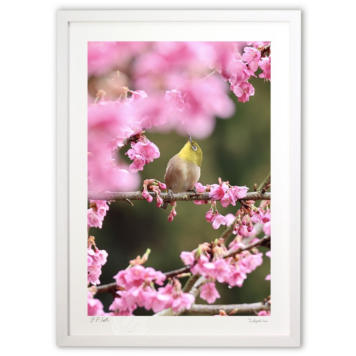 楽天市場】土田穣 絵画・アート(版画額装品)/ピンクの花/ウサギ