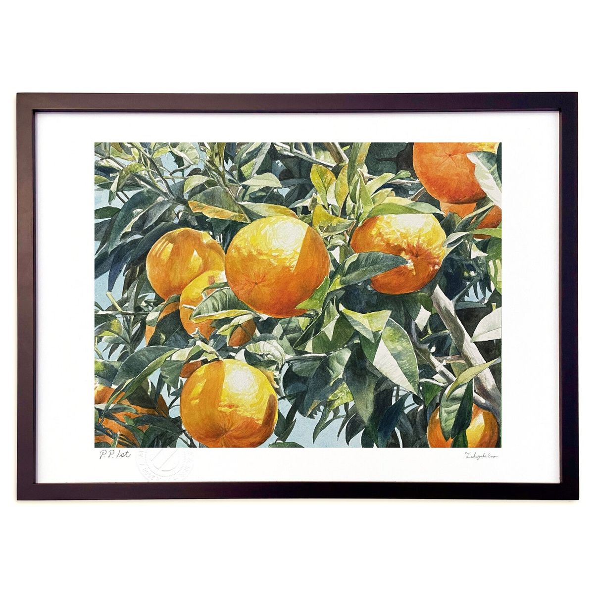 楽天市場】山口逢春 三宝柑 （さんぽうかん） 日本画 ブラックガラス