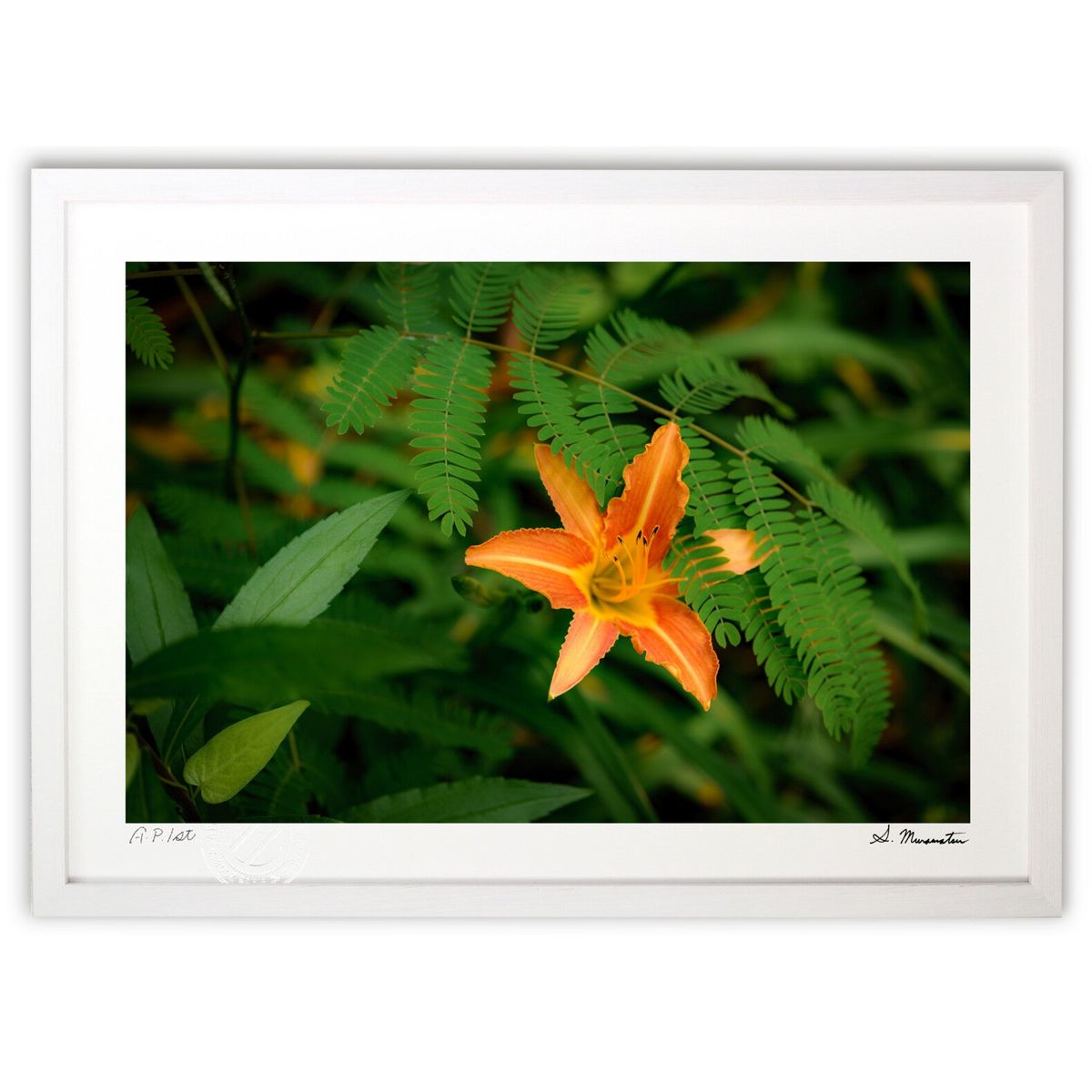 楽天市場】丹野忍 月華焔舞 ジクレ キャンバス : ギャラリーダッドアート