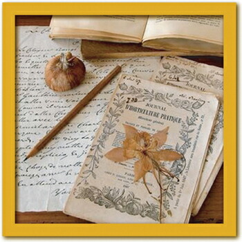 アートフレーム Celine SACHS JEANTET Herbarium (ハーバリウム/植物の標本)/インテリア 額入り 額装込 風景画 油絵 ポスター アート アートパネル リビング 玄関 プレゼント モダン アートフレーム 飾る Mサイズ おしゃれ 壁掛け 絵
