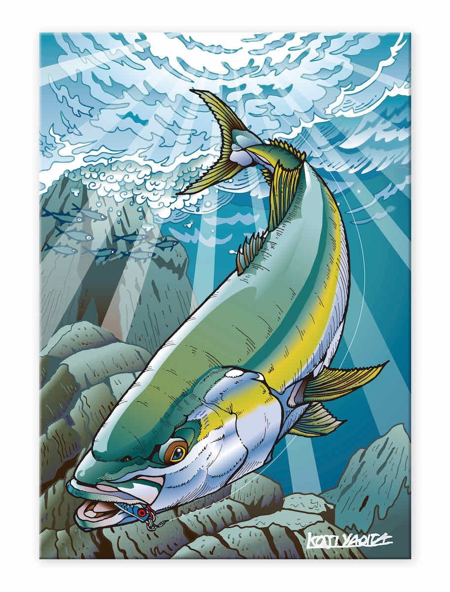 楽天市場】【スーパーセール対象商品】八百板浩司 ブリ ジギング