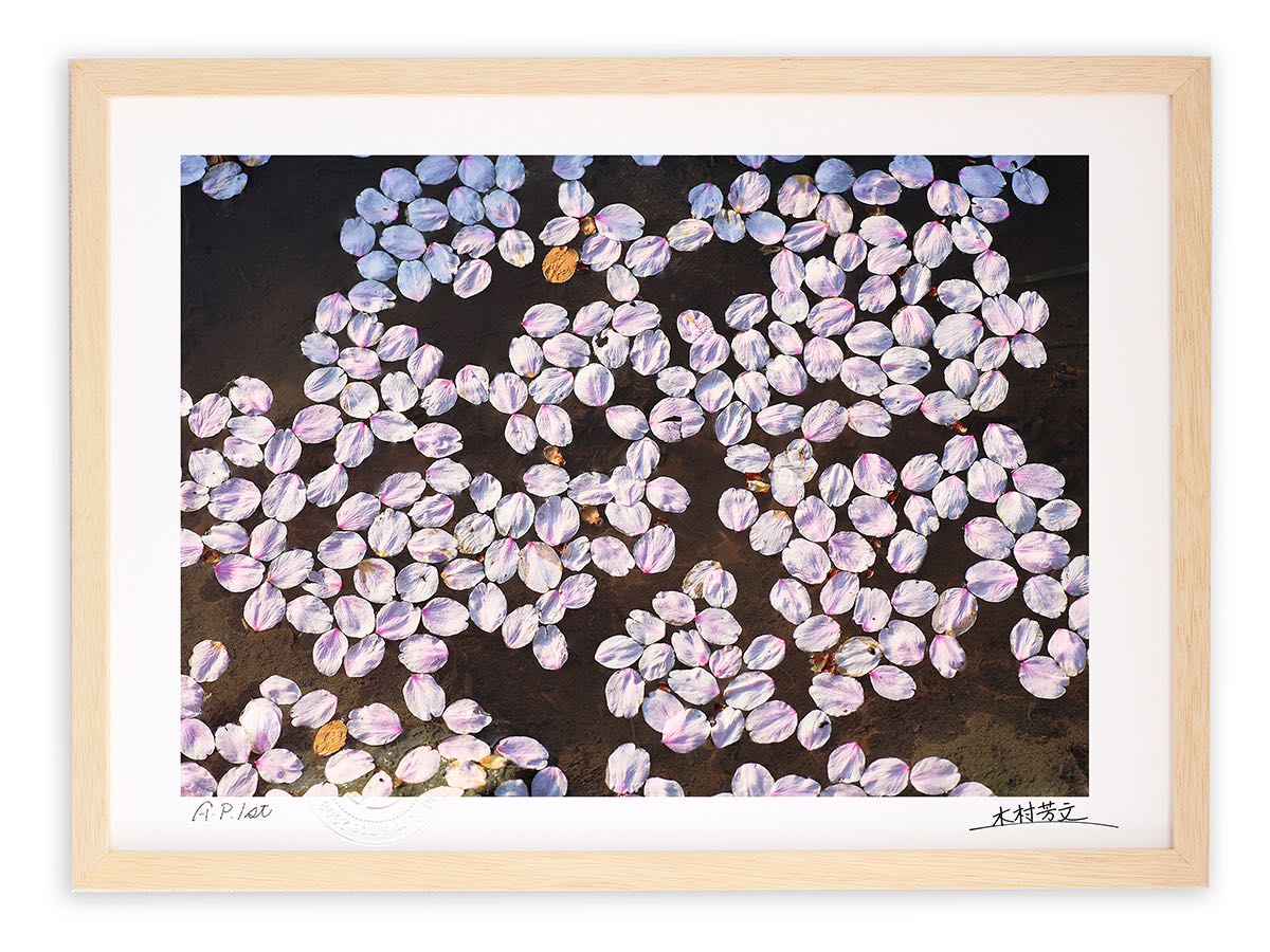アートフォト 絵画 壁掛け 水田に浮かぶ花弁/白山市/インテリア 壁掛け 額入り 額装込 風景画 油絵 ポスター アート アートパネル リビング 玄関 プレゼント モダン アートフレーム おしゃれ 飾る|絵画・壁飾り 風景専門店あゆわら