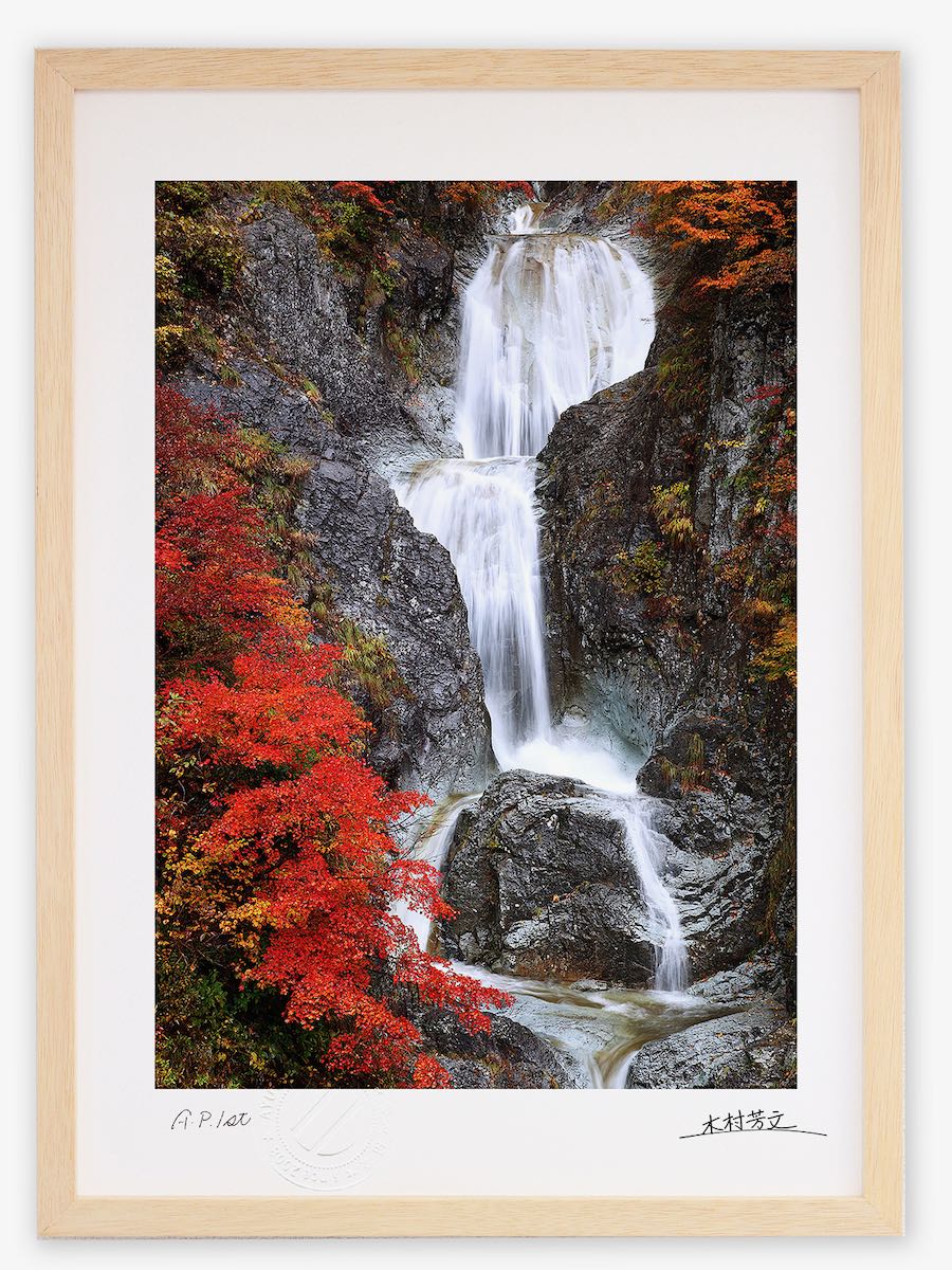 アクリル画　原画　「悠久の桜02」額縁付　SMサイズ アクリル画 原画 「悠久の桜02」額縁付 SMサイズ - メルカリ
