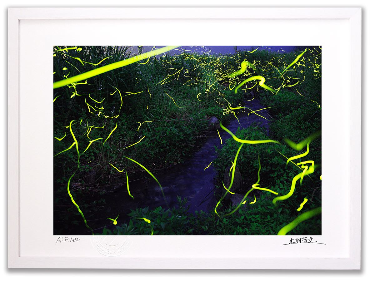 アートフォト 絵画 壁掛け ホタルの舞い1/白山市/インテリア 壁掛け 額入り 額装込 風景画 油絵 ポスター アート アートパネル リビング 玄関 プレゼント モダン アートフレーム おしゃれ 飾る｜絵画・壁飾り　風景専門店あゆわら