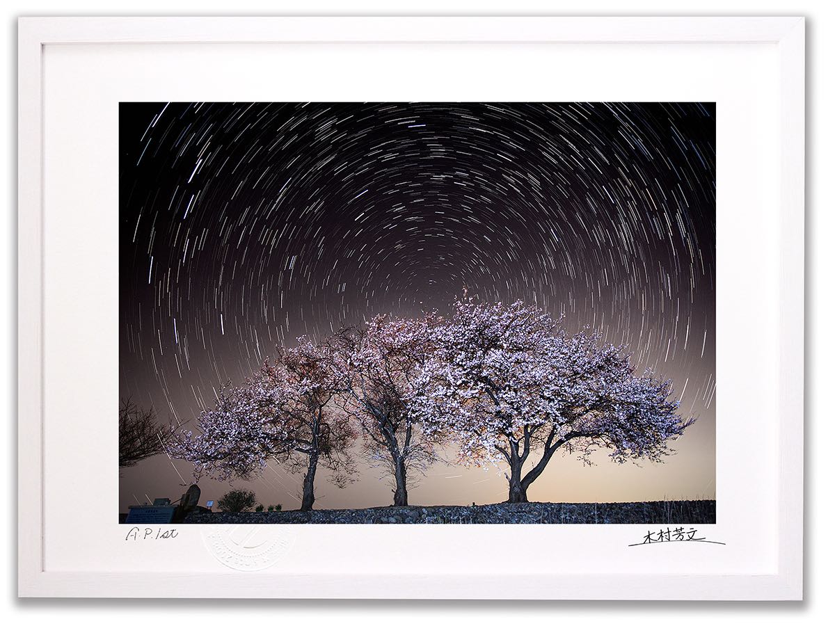 アートフォト 絵画 壁掛け 夜桜2/能美市/インテリア 壁掛け 額入り 額装込 風景画 油絵 ポスター アート アートパネル リビング 玄関 プレゼント モダン アートフレーム おしゃれ 飾る｜絵画・壁飾り　風景専門店あゆわら